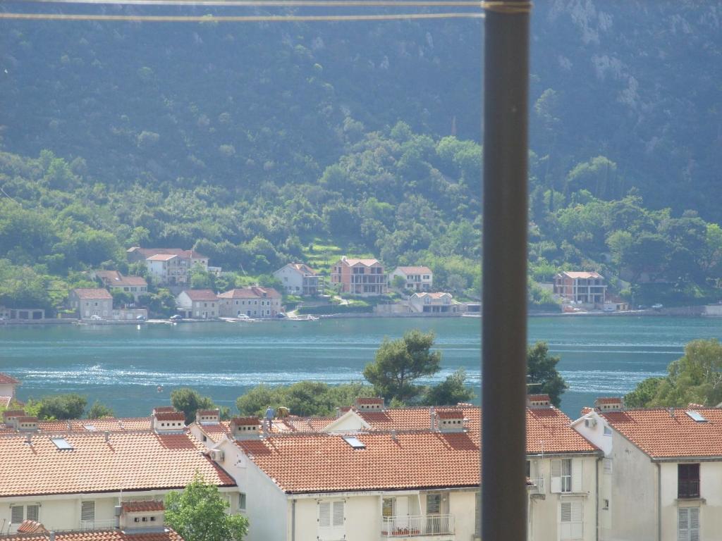 Dakovic *