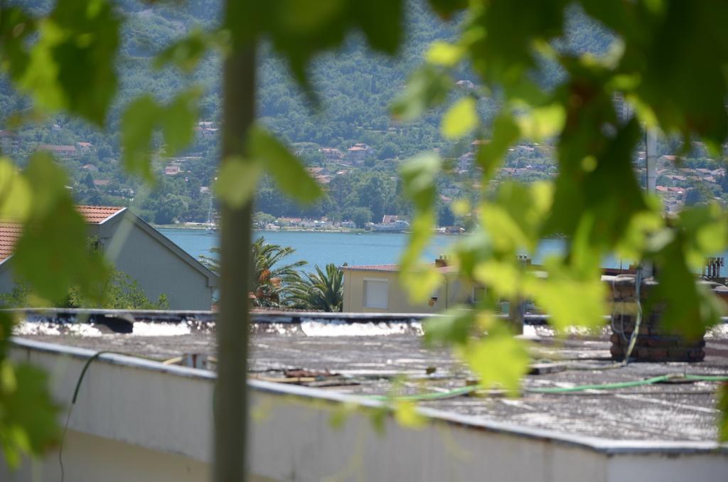 Apartman Dakovic Kotor