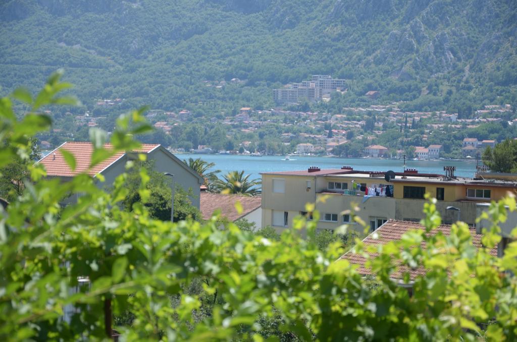 Dakovic Kotor