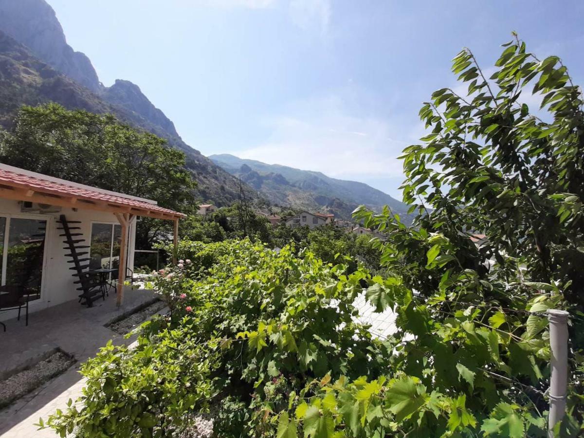 Apartman Dakovic *
