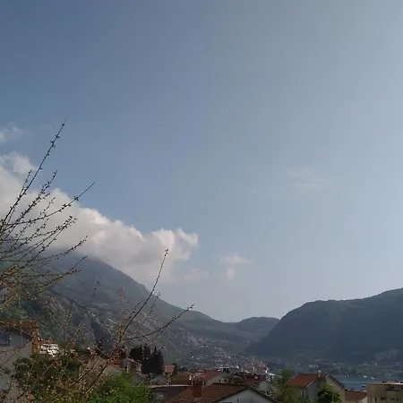 Apartments Dakovic Kotor Exterior photo