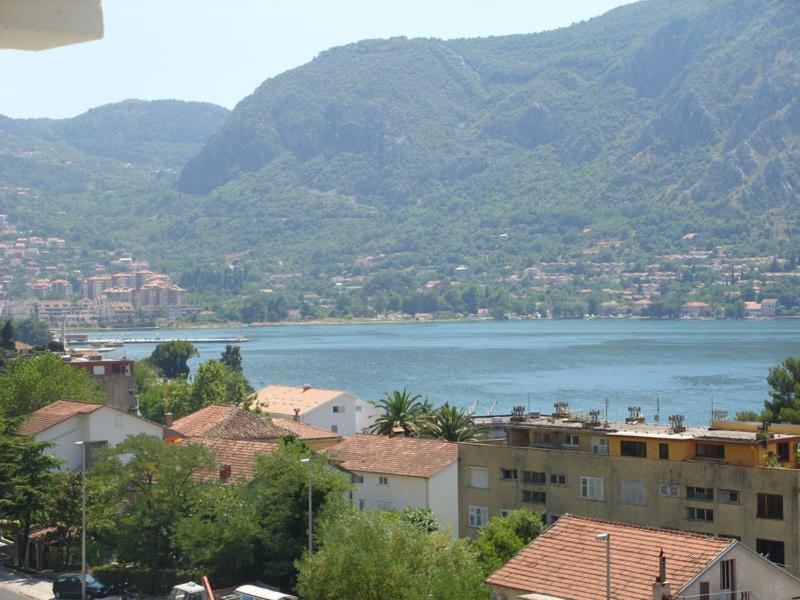 Dakovic