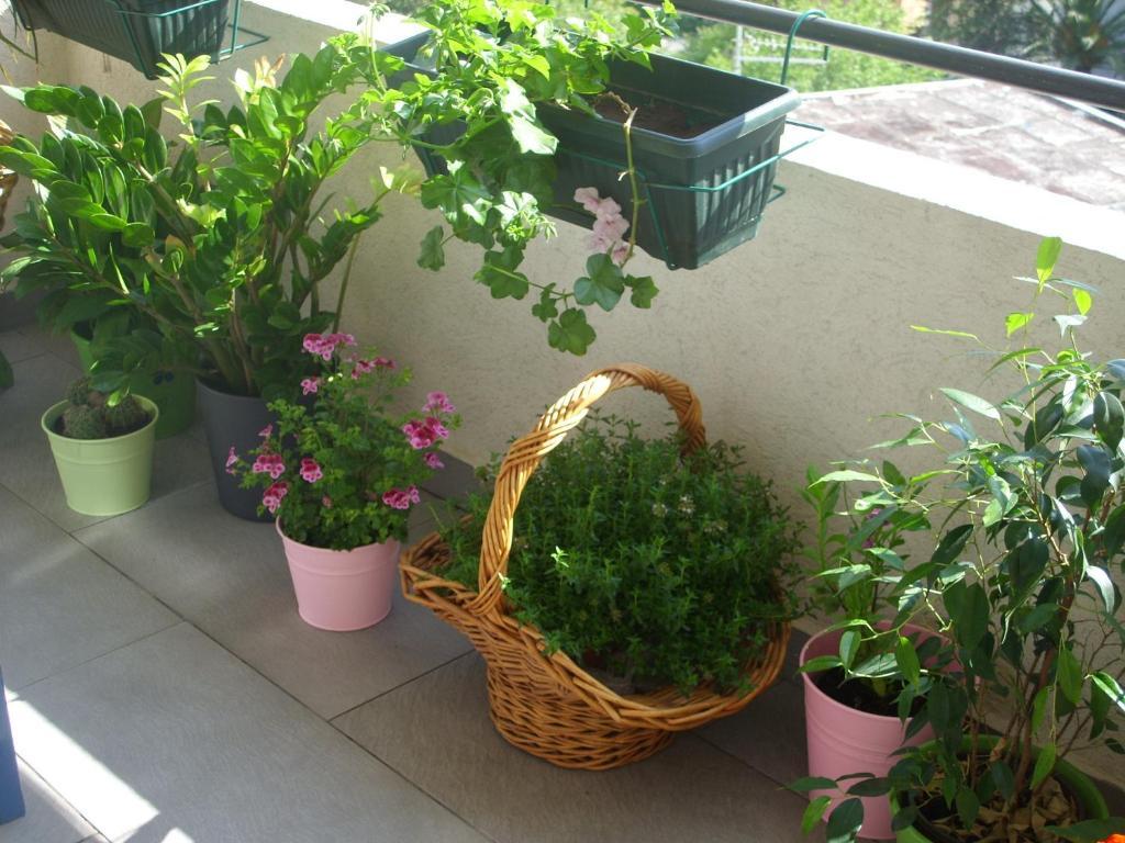 Dakovic Apartment