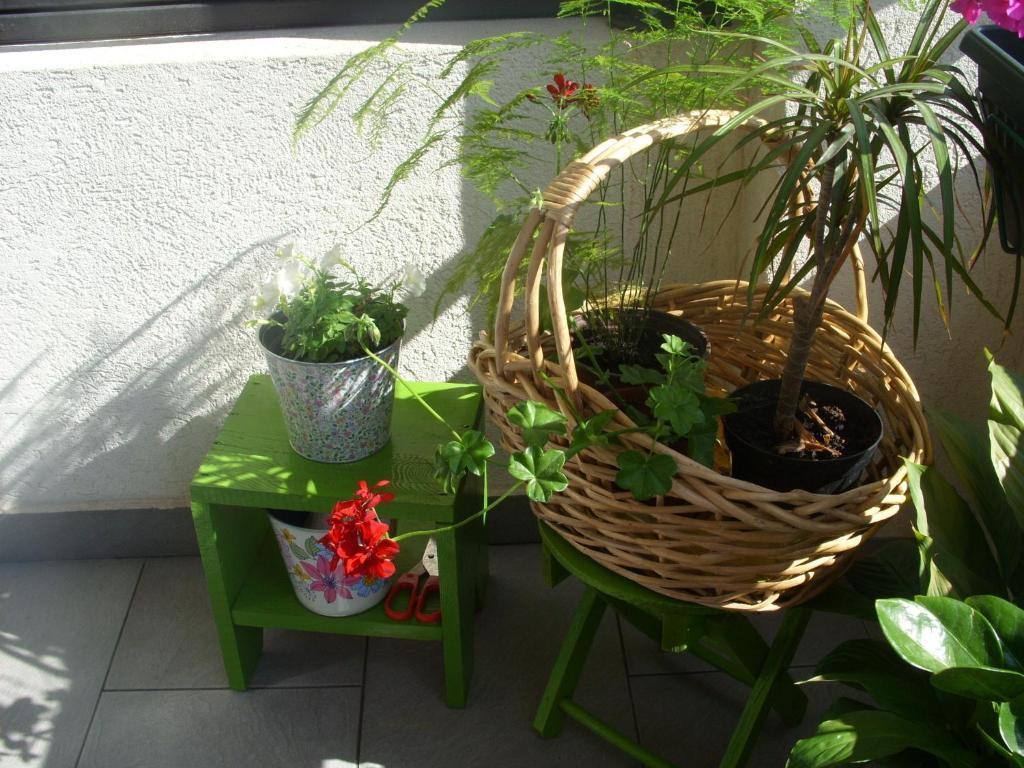 Apartment Dakovic *