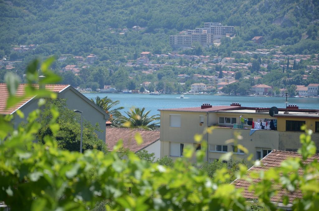 Apartment Dakovic *