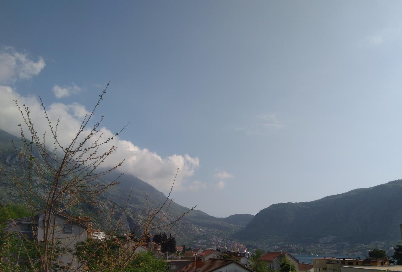 Apartment Dakovic Kotor