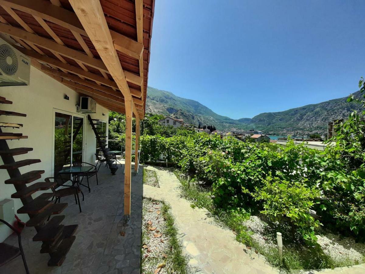 Apartment Dakovic Kotor