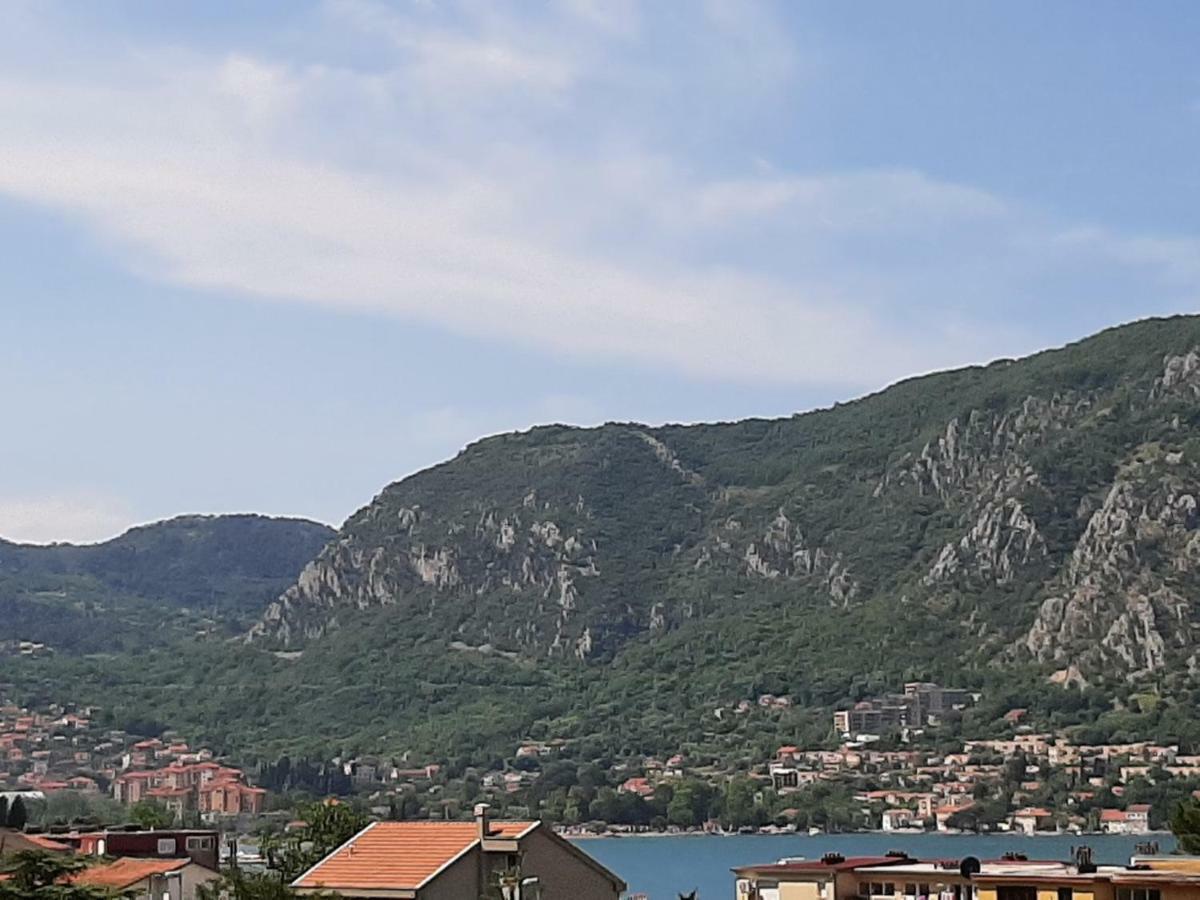 Dakovic *