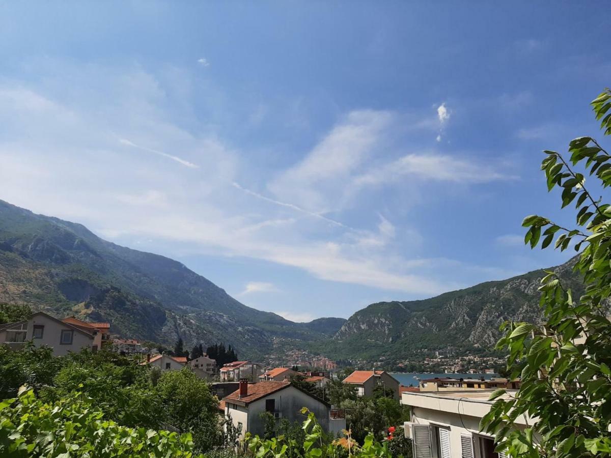 Apartment Dakovic Kotor